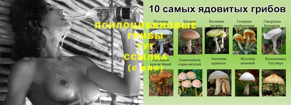 спайс Беломорск