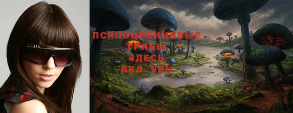 спайс Беломорск