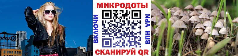 Галлюциногенные грибы MAGIC MUSHROOMS  Саяногорск 