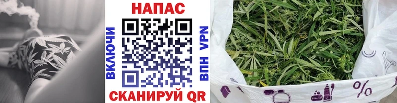 Бошки Шишки планчик  цены   МЕГА зеркало  Саяногорск 